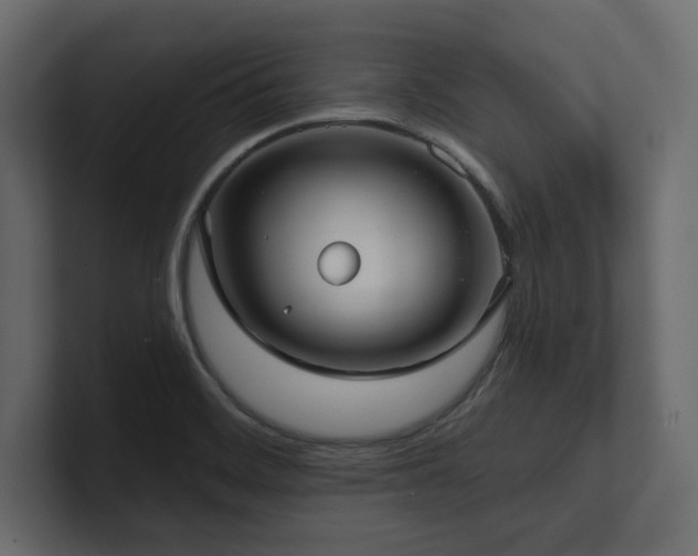 X0000100921468200806241334