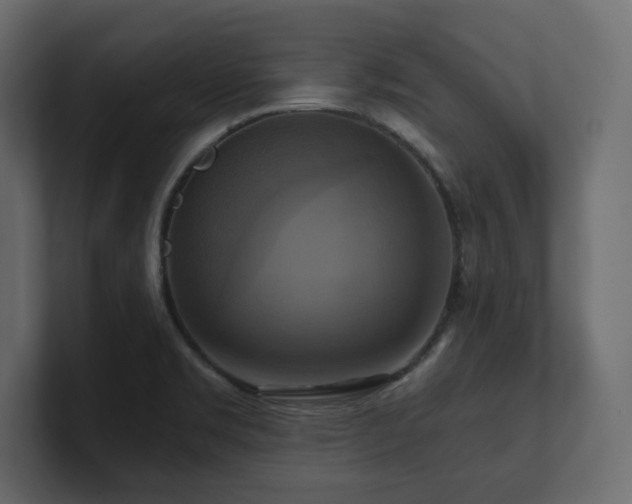 X0000100921469200806241334