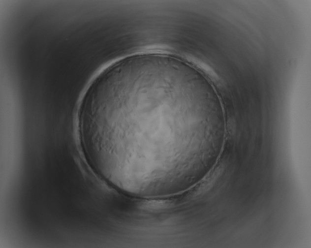 X0000100921470200806241334