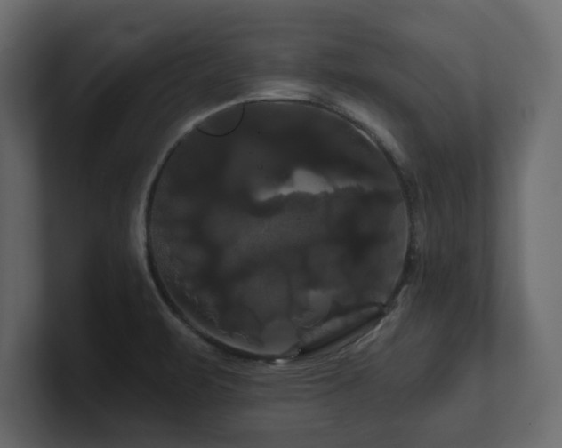 X0000100921471200806241334