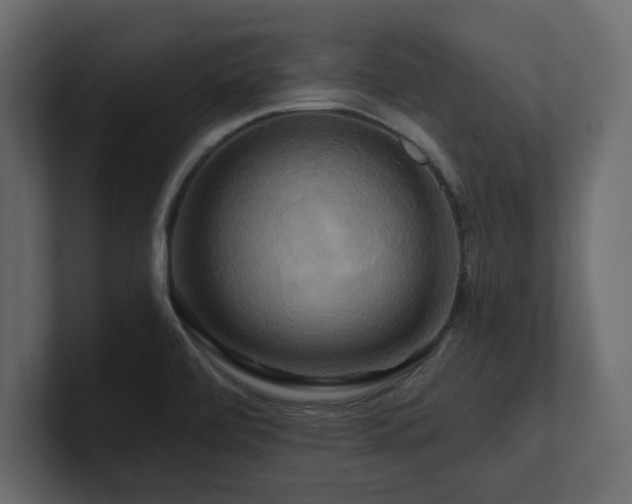 X0000100921472200806241334