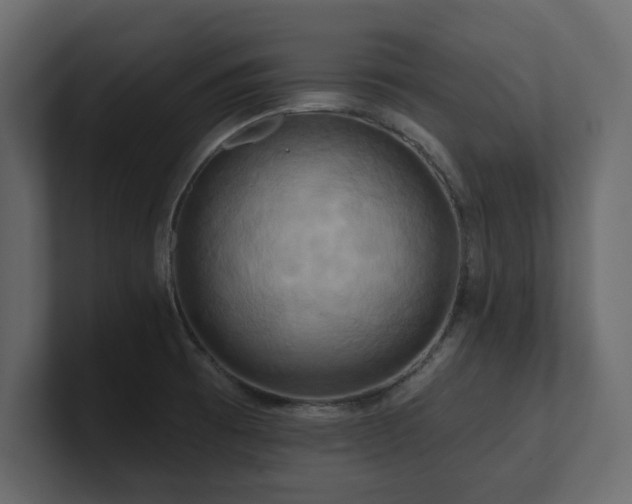 X0000100921473200806241334