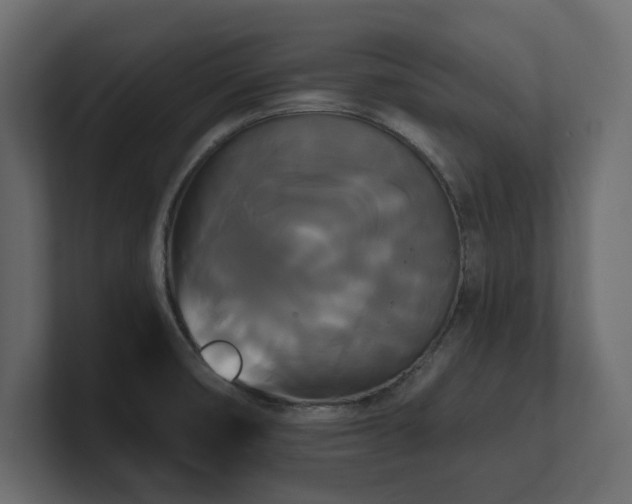 X0000100921474200806241334