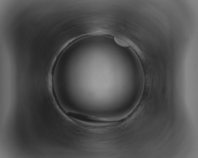 X0000100921476200806241334