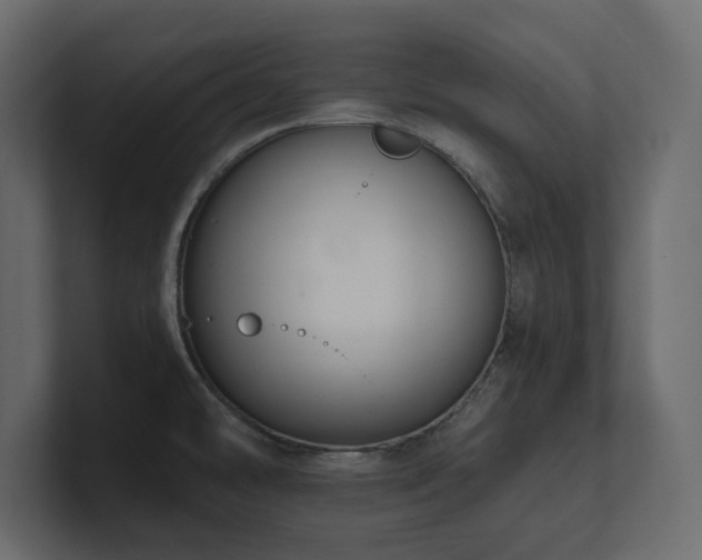 X0000100921478200806241334