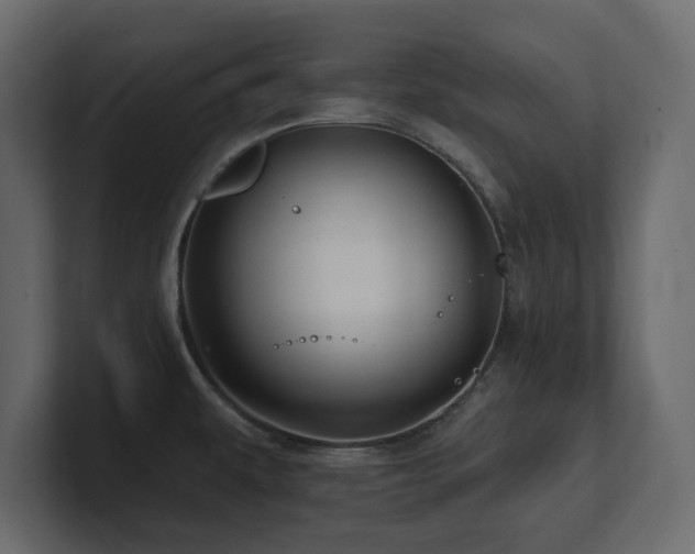 X0000100921479200806241334