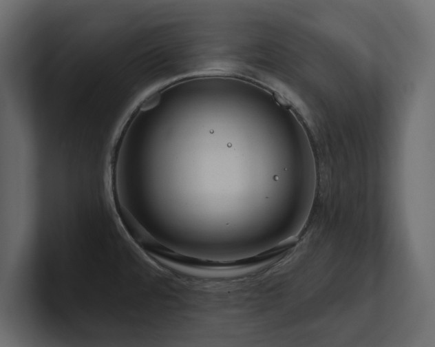 X0000100921480200806241334