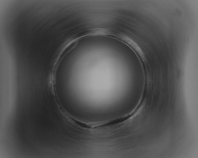 X0000100921481200806241334