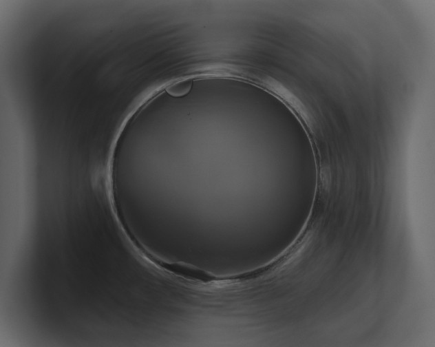 X0000100921482200806241334