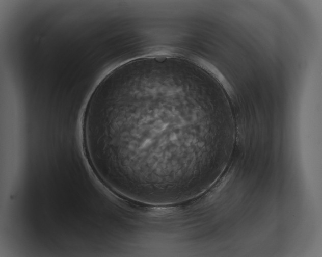 X0000100921483200806241334