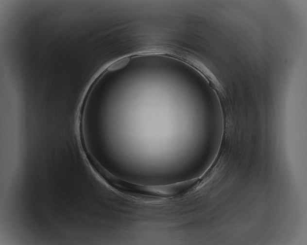 X0000100921484200806241334