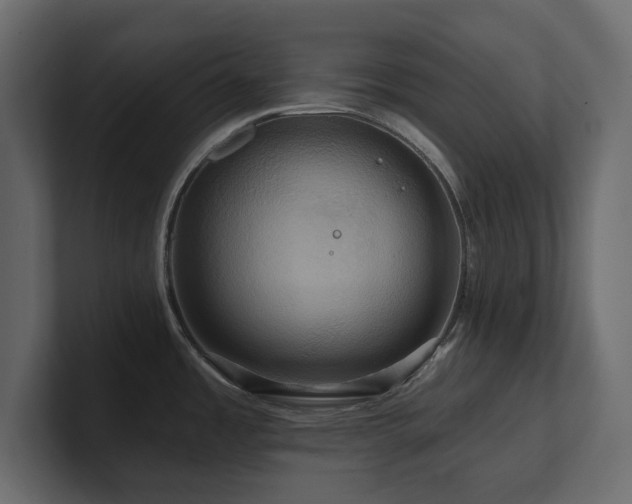 X0000100921485200806241334