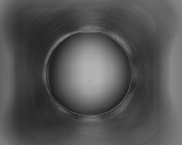 X0000100921486200806241334