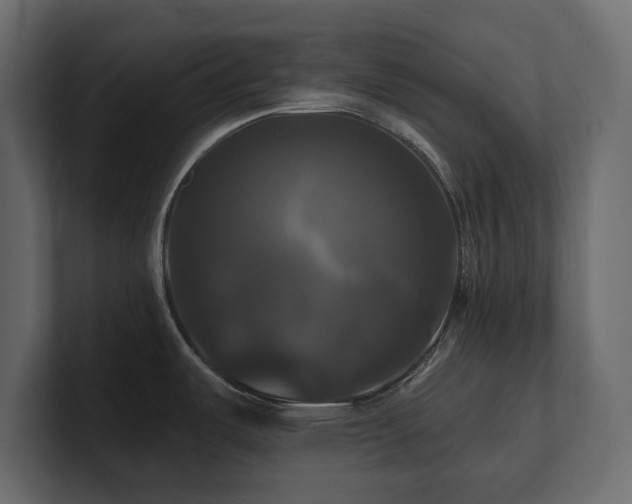 X0000100921487200806241334