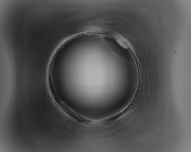 X0000100921488200806241334