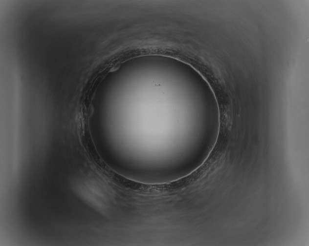 X0000100921493200806241333