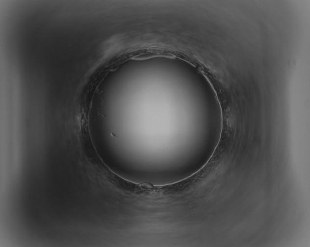 X0000100921495200806241333