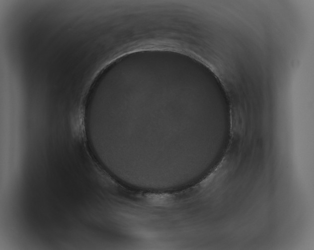 X0000100921498200806241333