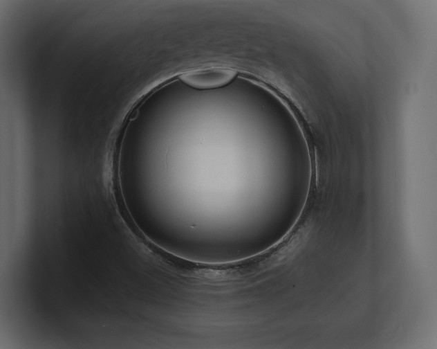 X0000100921500200806241333