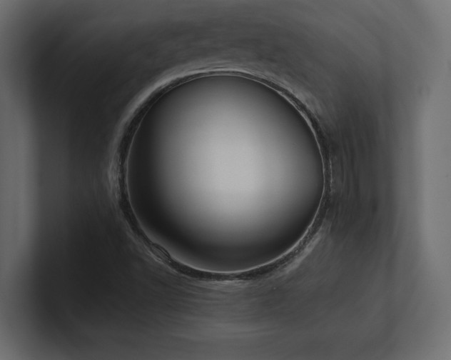 X0000100921502200806241333