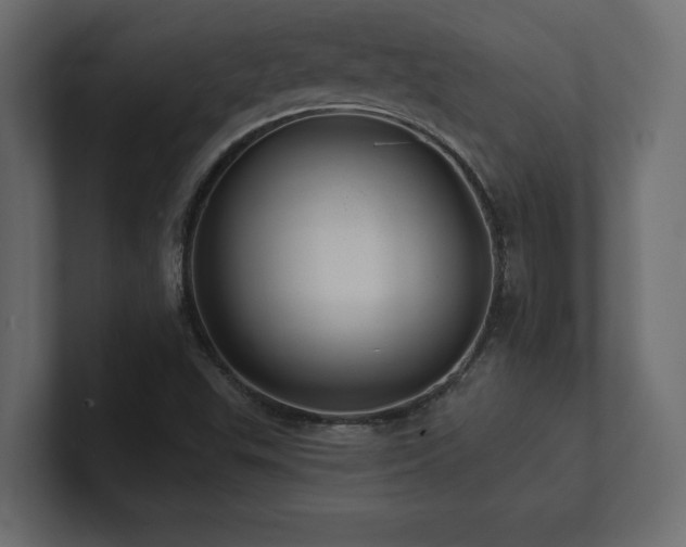 X0000100921503200806241333