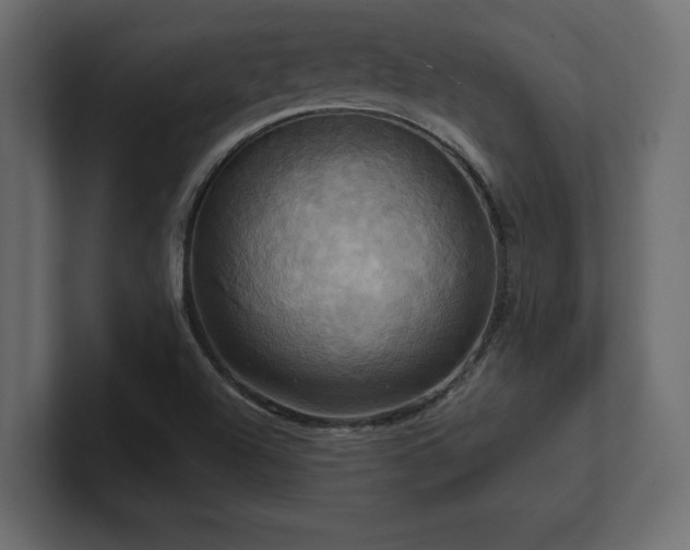 X0000100921504200806241333