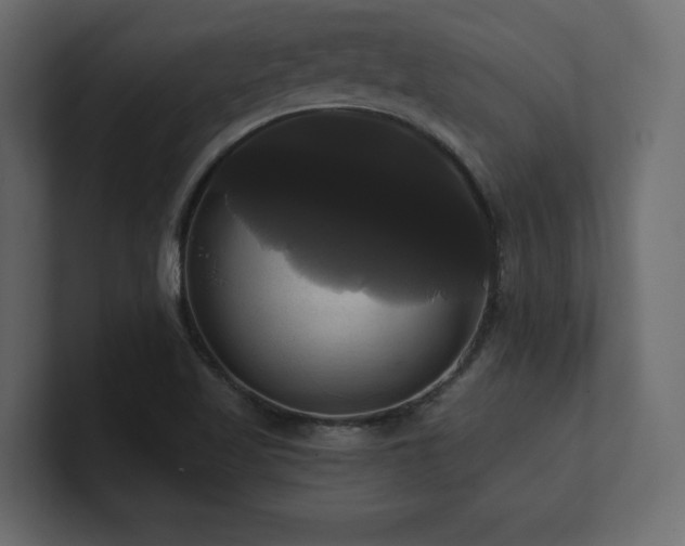 X0000100921509200806241333
