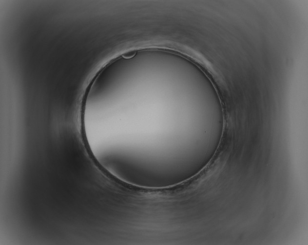X0000100921512200806241333