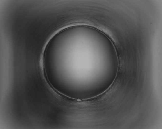 X0000100921516200806241333