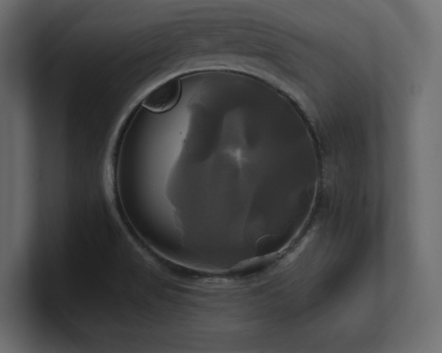 X0000100921517200806241333