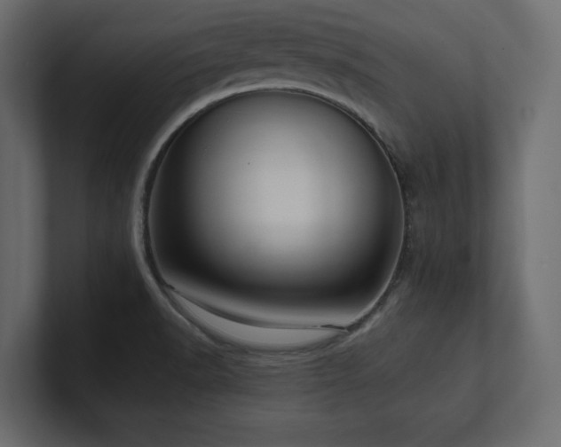 X0000100921518200806241334