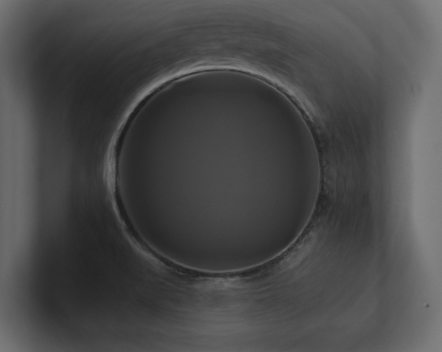 X0000100921519200806241334