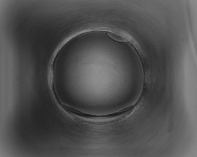X0000100921520200806241334