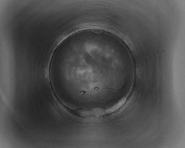 X0000100921521200806241334