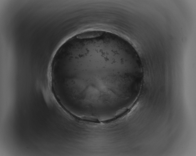 X0000100921522200806241334