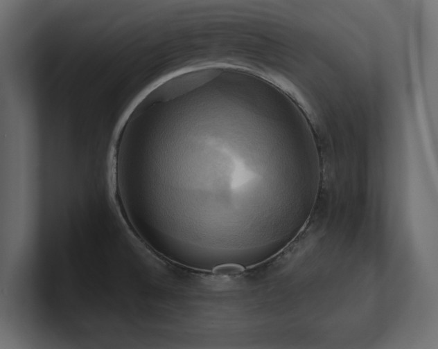 X0000100921524200806241334