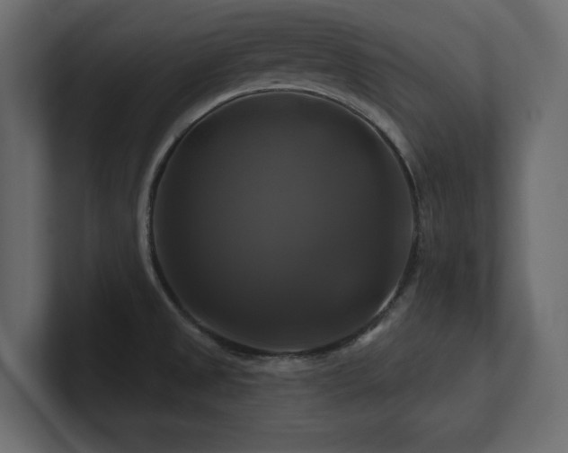 X0000100921525200806241334