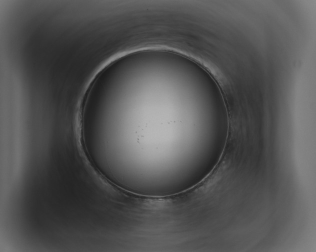 X0000100921526200806241334