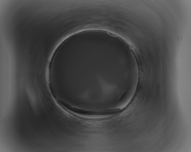 X0000100921527200806241334