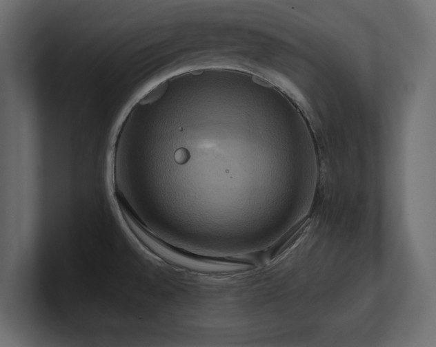 X0000100921528200806241334