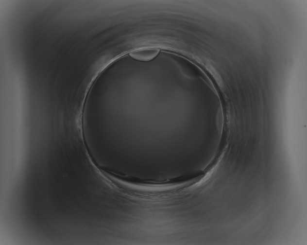 X0000100921529200806241334