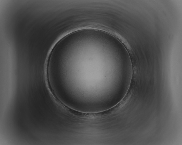 X0000100921530200806241334