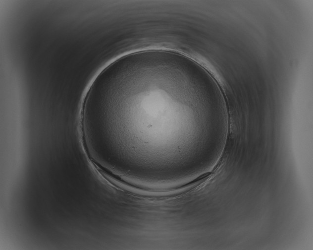 X0000100921532200806241334