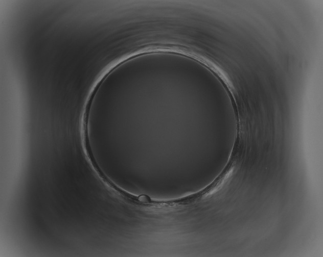 X0000100921533200806241334