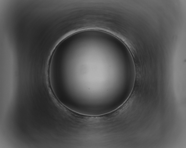 X0000100921534200806241334