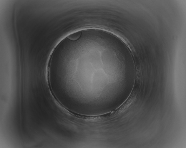X0000100921535200806241334