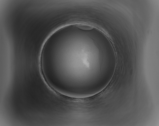 X0000100921536200806241334