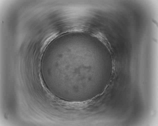 X0000100920001200807011317