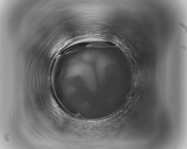 X0000100920002200807011317