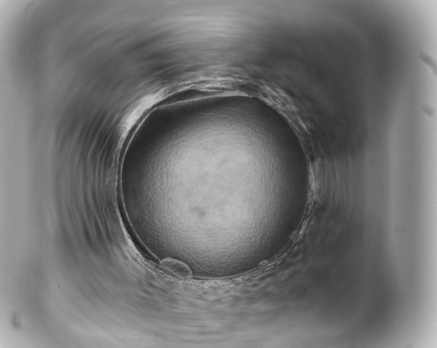 X0000100920003200807011317